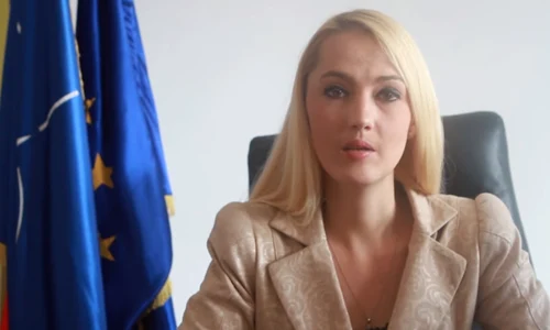 ioana cazacu png