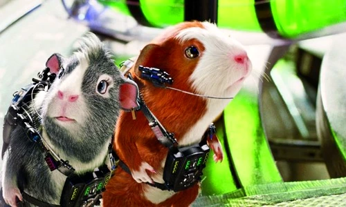 1 46501 original jpg jpeg