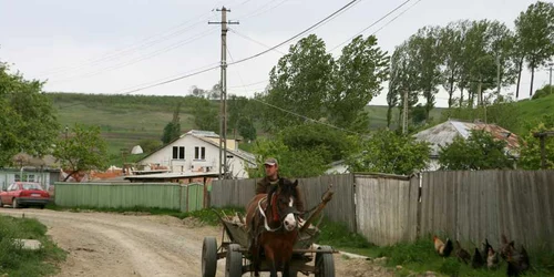 Investiţii în mediul rural din partea Fundaţiei Soros România, Foto: arhivă ADS