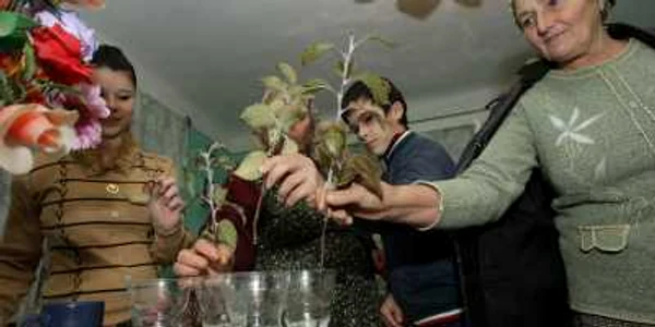 În familia Caloş, din Boian, toţi cei ai casei pun câte o crenguţă în apă în seara de 5 decembrie. 