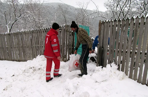 ajutoare buzau 1