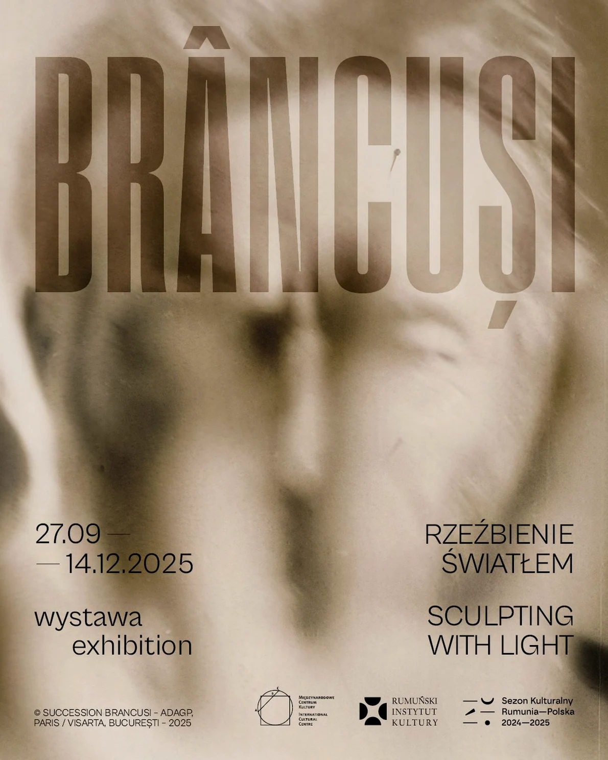 Brancusi Afis jpg