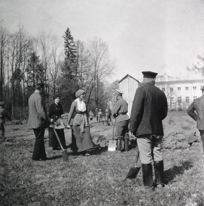 Familia țarului lucrând în grădină FOTO wikipedia