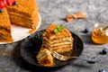Tort ungar  Sursa foto shutterstock 2322289845 jpg