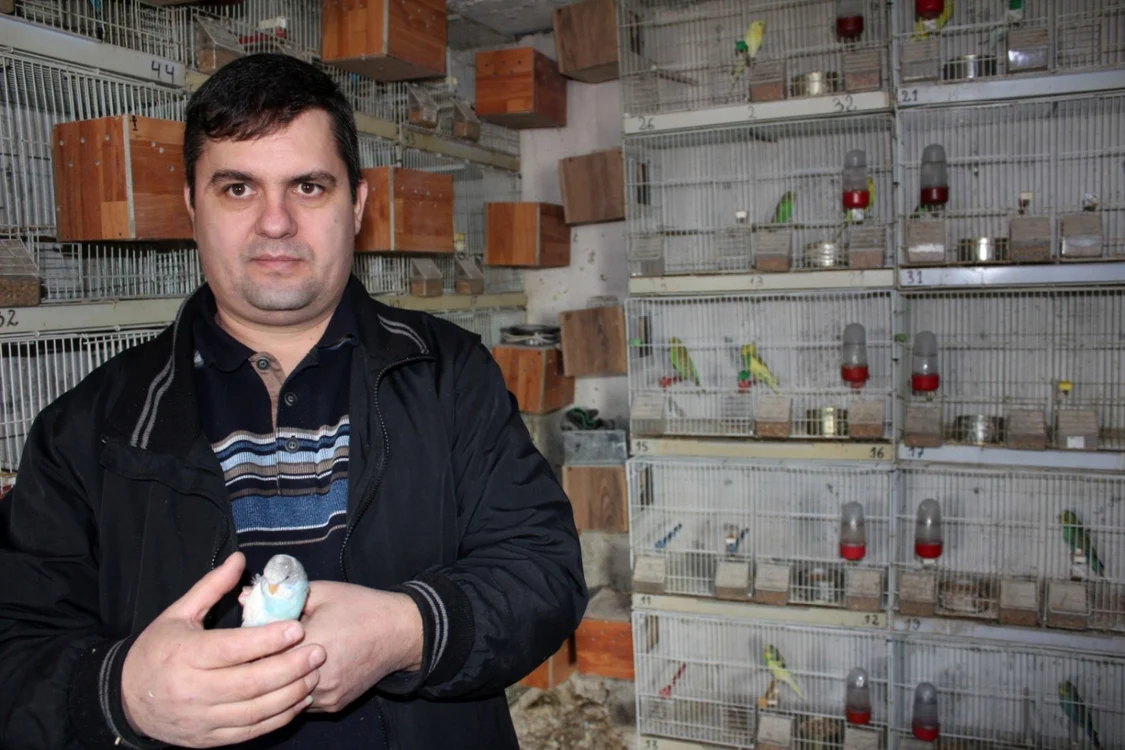 Aurel Bârzava este cel mai mare crescător de păsări exotice din Gorj