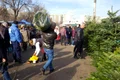 În Obor, lumea  cumpără orice, de  la mezeluri la brazi jpeg