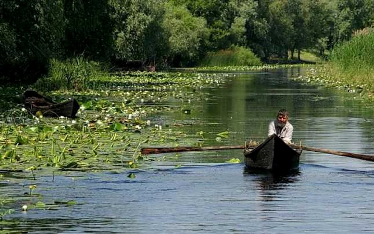 Mahmudia Tulcea Dobrogea Sursa Facebook Mahmudia Delta 
