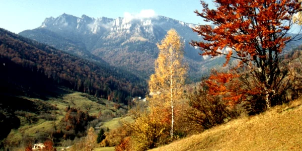 ceahlau toamna