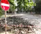 parcare trandafirilor