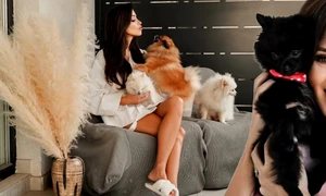 banner Ana Maria Barnoschi jpg