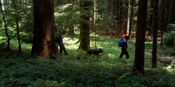 Salvare turist ratacit Valea Cerbului News.ro