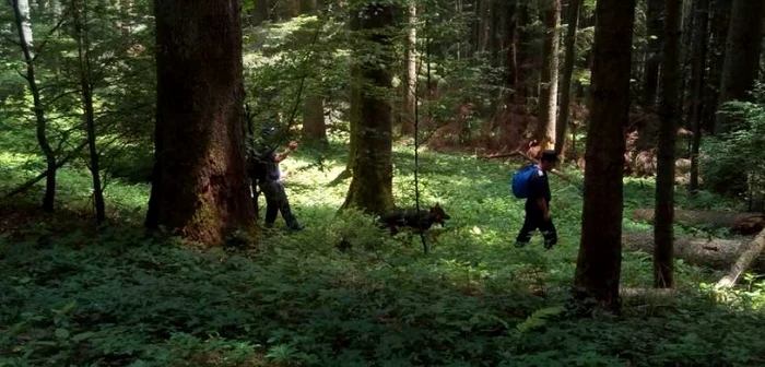 Vârstnicul a fost căutat de zeci de poliţişti, jandarmi şi voluntari FOTO Arhivă