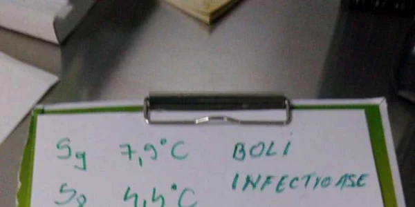 Temperaturi spital Leţcani