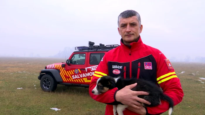 Salvamontistul Carlos Tașcău se ocupă de pregătirea lui Thor Foto: Alin Ion