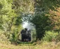 Mocănița de pe Valea Hârtibaciului din Sibiu în Tunelul dragostei Foto Radu Tompa