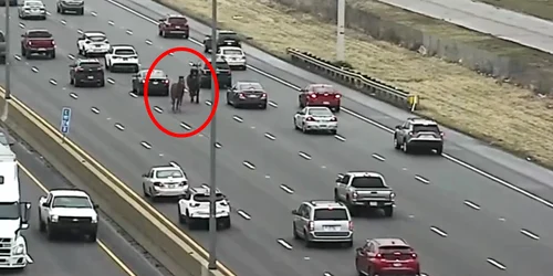 cai pe autostrada SUA jpg