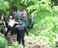 A murit după ce a vrut să scoată un copac din rădăcini