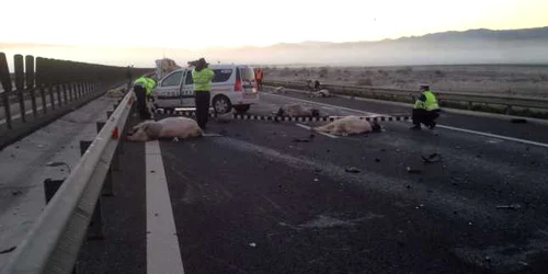 masina de politie vitei autostrada