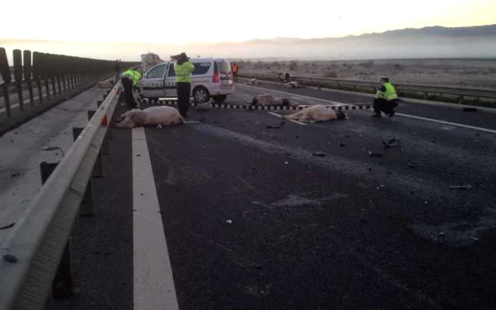 Accidentul a avut loc pe autostrada Orastie-Sibiu