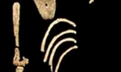 Un schelet de 3,6 milioane de ani a fost descoperit în Etiopia jpeg