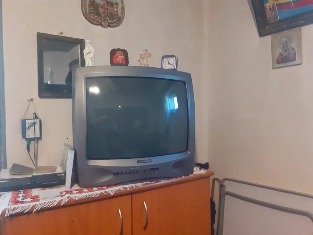 Televizorul familiei Lincu Miu