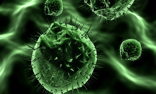 1 68896 original jpg jpeg