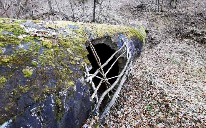 Tunelul de pe Valea Morii. Foto: Daniel Guță