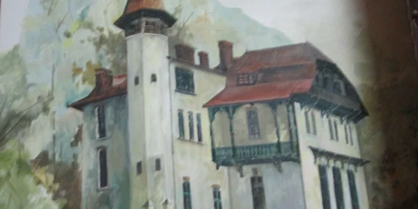 Un mic castel de pe Valea Oltului