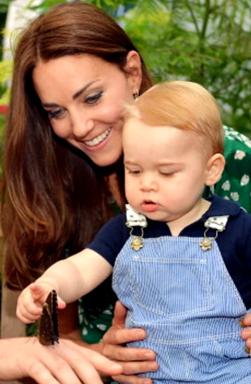 Kate Middleton și George mic png