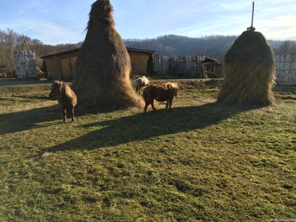 Oază de linişte la Zolt FOTO complexturisticzolt.ro