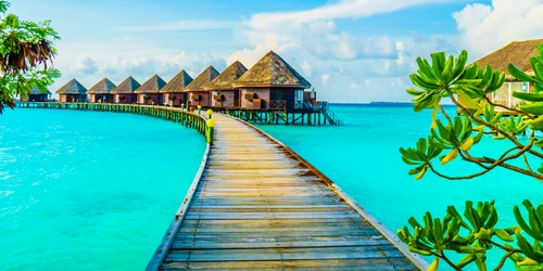 maldive freepik jpg