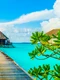 maldive freepik jpg