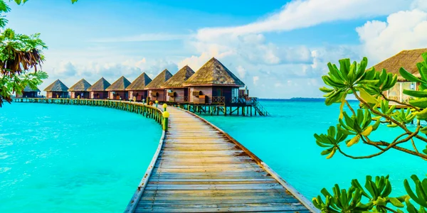 maldive freepik jpg