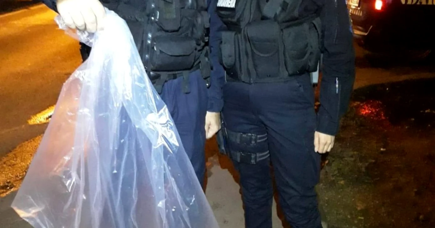 Şarpe găsit de jandarmi FOTO IJJ Timiş