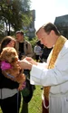 animale biserica profimedia (2) jpg