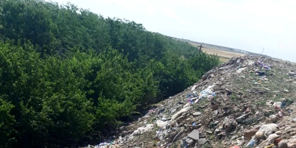 Depozit gunoaie Medgidia FOTO garda de Mediu