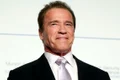 arnold schwarzenegger 0 jpeg