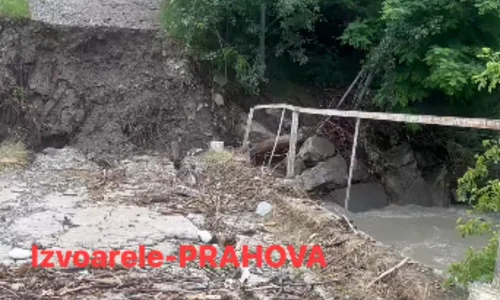 Pod luat de ape în comuna Izvoarele foto facebook emil draganescu png