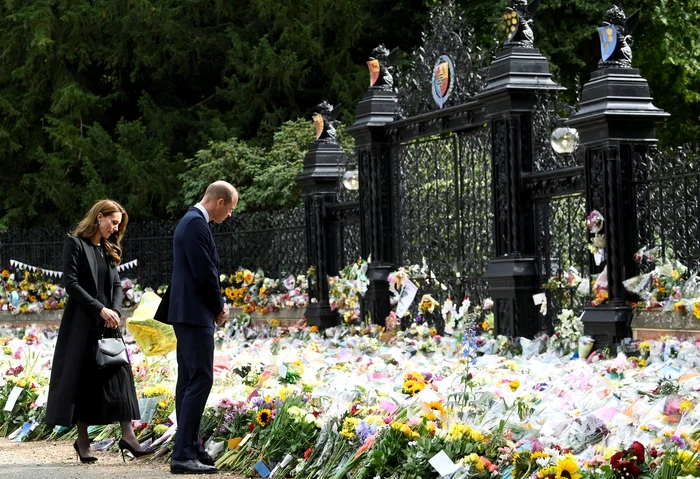 kate will profimedia 0722963003 jpg