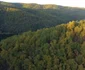 Lacul Cincis din Hunedoara Foto Daniel Guță ADEVĂRUL (27) JPG