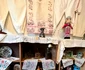 IMG 0072 jpeg