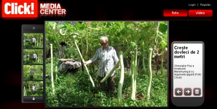 Galerie foto - dovleci