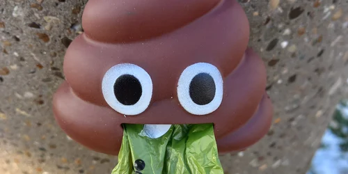 Asociație Arad 3 jpg