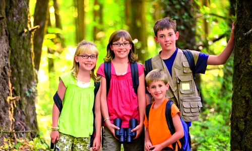 1 62691 original jpg jpeg