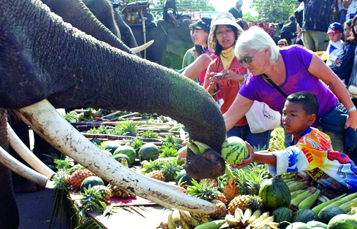 Zeci de elefanţi „papă” 50 de tone de fructe