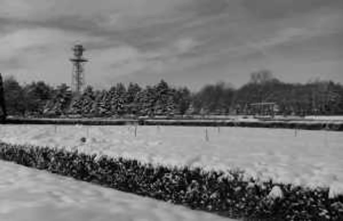 Foto: Toni Dumitru