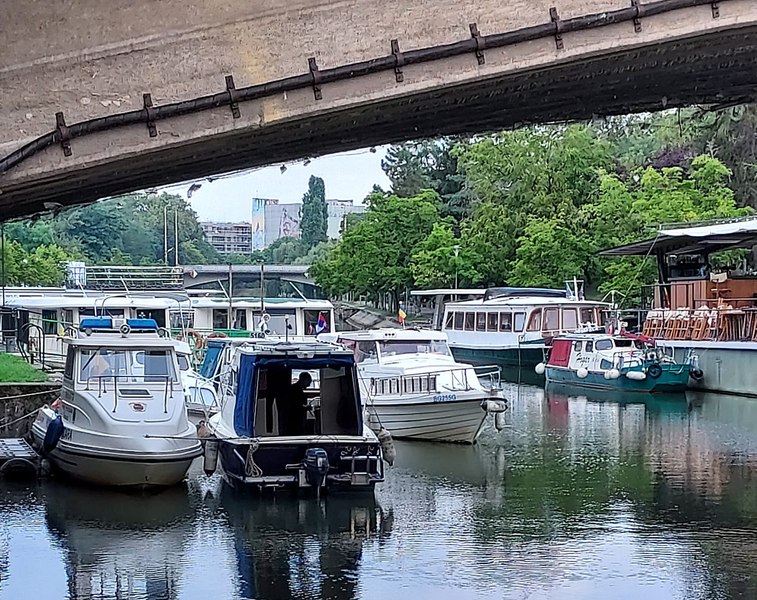 Timișoara ca Amsterdam. Bărci din Serbia, pe Bega, așa cum de peste 60 de ani nu s-a mai văzut VIDEO FOTO
