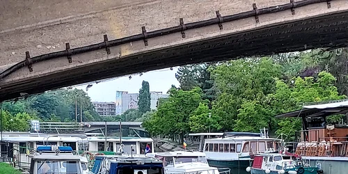 Activitate pe Bega FOTO Siky Marko