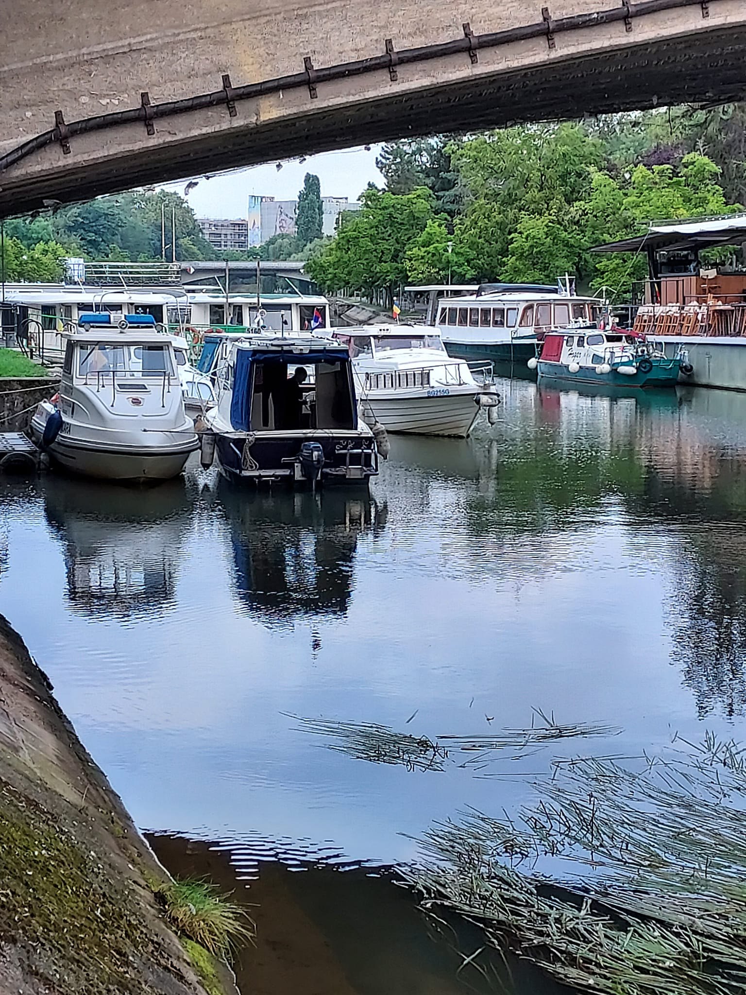 Timișoara ca Amsterdam. Bărci din Serbia, pe Bega, așa cum de peste 60 de ani nu s-a mai văzut VIDEO FOTO Timișoara ca Amsterdam. Bărci din Serbia, pe Bega, așa cum de peste 60 de ani nu s-a mai văzut VIDEO FOTO