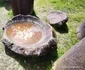 Sarmizegetusa Regia Foto Daniel Guță ADEVĂRUL (8) jpg